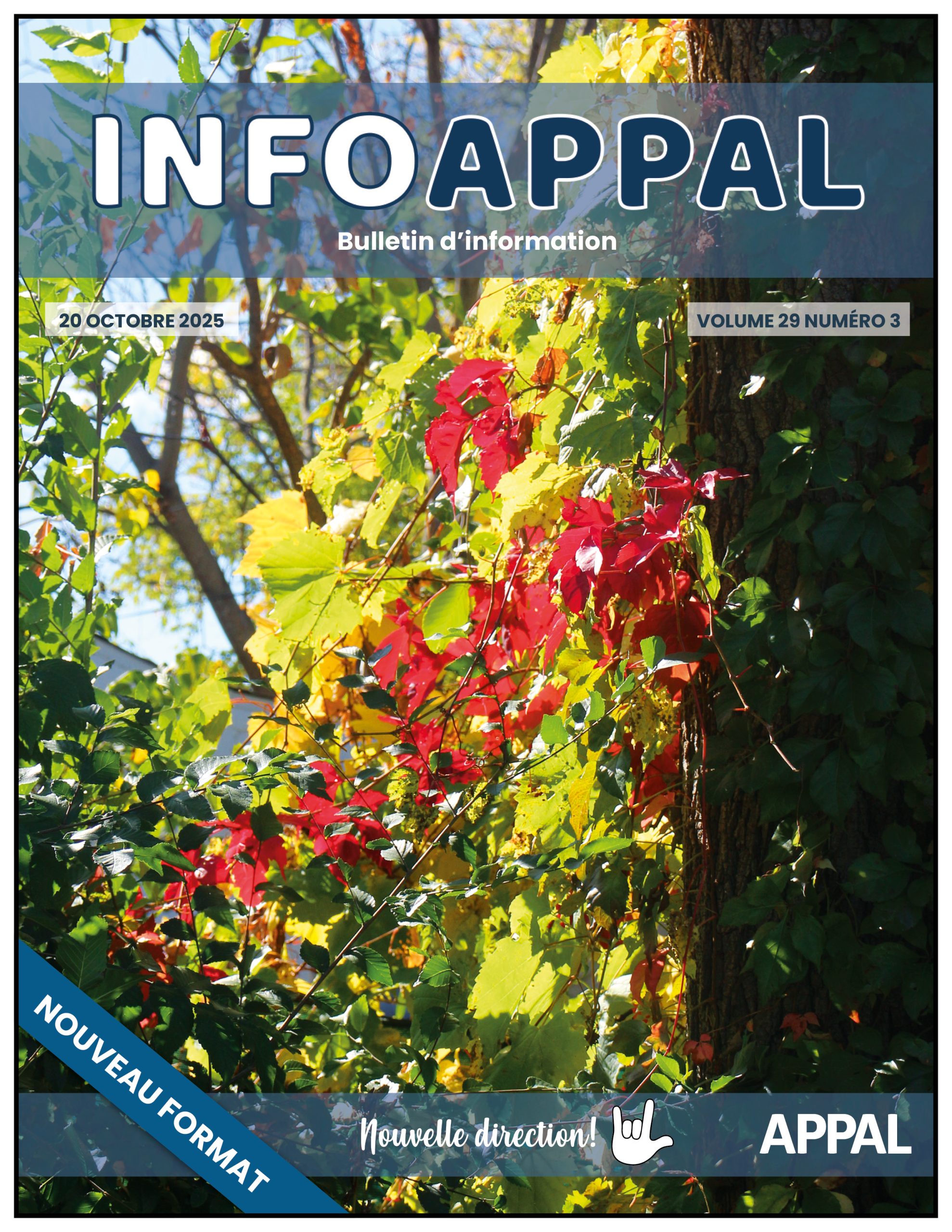 2025-2026_IA_Vol29_03