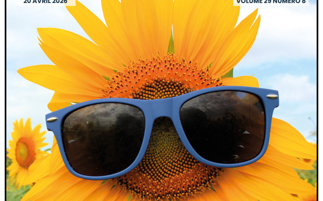 Volume 29 – 8